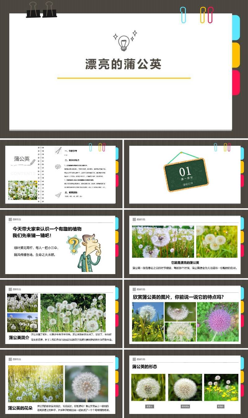 3-4  手工 蒲公英.ppt